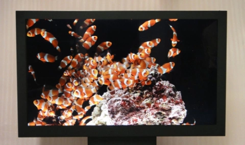 Công nghệ màn hình 3D không kính của Sony khác biệt hoàn toàn so với các sản phẩm đã ra mắt trước đó. Ảnh: Techon.