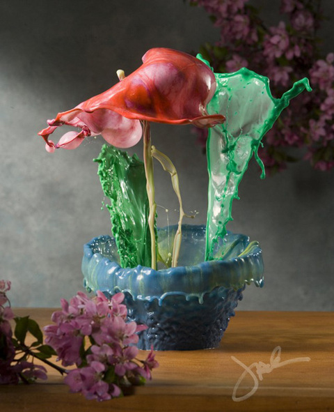 1000039041_flower-1-640x788_480x0.jpg