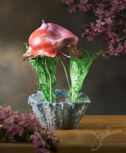 1000039041_flower-3-640x777_480x0.jpg