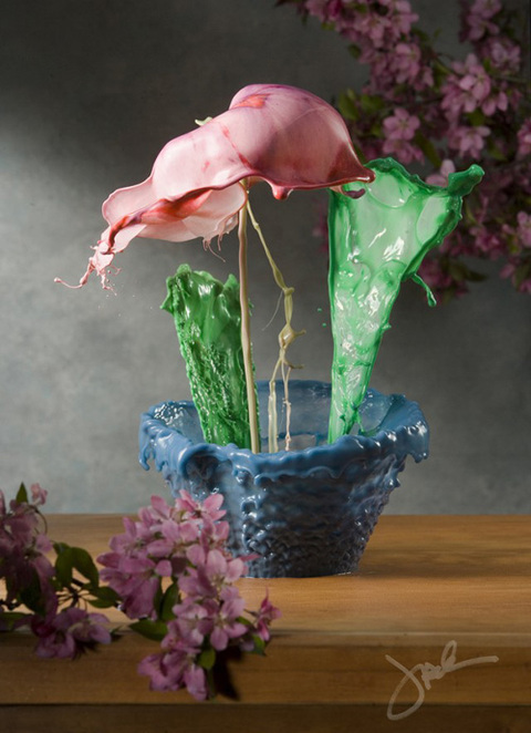 1000039041_flower-4-640x883_480x0.jpg