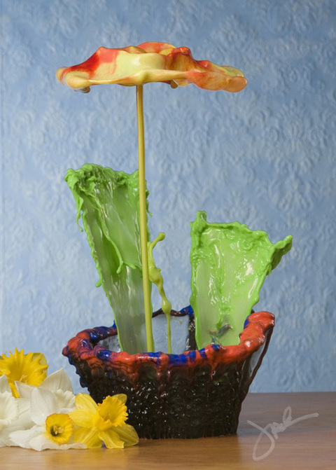 1000039041_flower-5-640x895_480x0.jpg