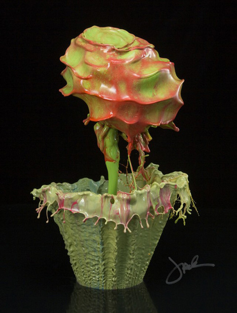 1000039041_flower-6-640x845_480x0.jpg