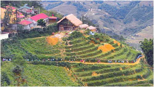 Đánh giá hệ thống 4 camera Realme 5 Pro – Đột phá và tiên phong cho nhiếp ảnh điện thoại (xin bài edit) - 5