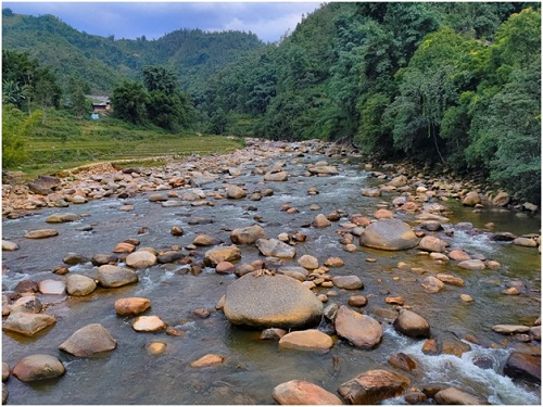 Đánh giá hệ thống 4 camera Realme 5 Pro – Đột phá và tiên phong cho nhiếp ảnh điện thoại (xin bài edit)