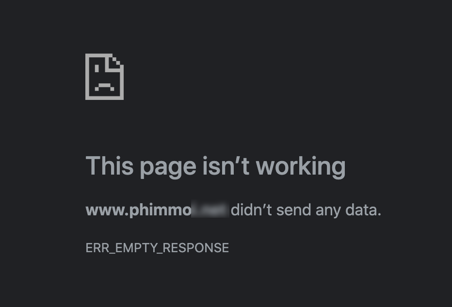 Website phim lậu lớn nhất Việt Nam bị chặn