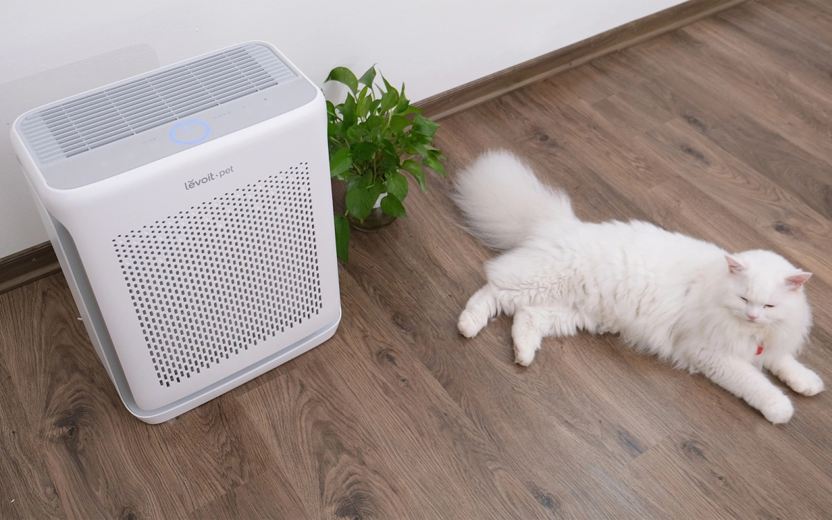 Levoit Vital 200S - máy lọc không khí cho nhà có thú cưng